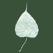 Dharma Seed Logo