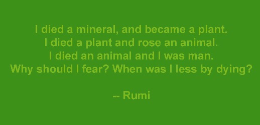 Less - Rumi